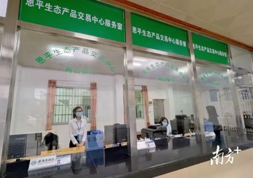 绿水青山变金山银山 恩平生态产品交易中心成立，家政服务助力生态价值转化