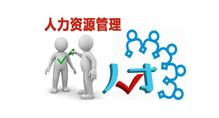 人力资源管理培训机构与人力资源服务供应商综合评估与选择指南